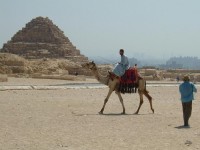 Fig 50. Pyramid at Giza.
