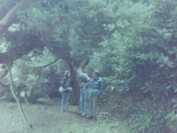 19881008_gardens_AJS.jpg