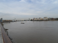 20130727_RGO_JRW_021.jpg