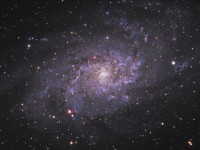 M33