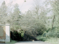Storm_15-Oct-1987.jpg