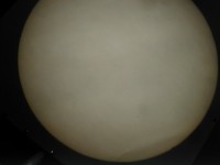 Cook/dig_02.jpg