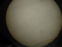 Cook/dig_03.jpg