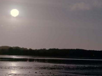 20161113_supermoon_DM_7845.jpg
