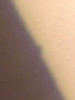 123559.png