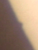 123604.png