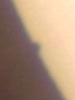 123615.png