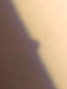 123622.png