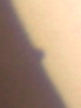 123624.png