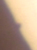 123628.png