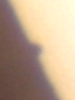123636.png