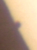 123645.png