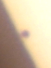 123725.png