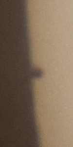 123709.jpg