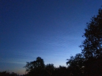 20190710_NC_ANM_0030.jpg
