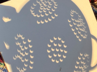 20260812_colander_MW.jpg