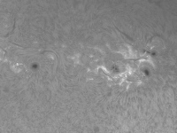 Sun/20220424_1215_AR2993+AR2994+AR2995+AR2996_MPC.jpg