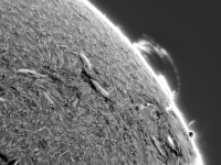 Sun/20220430_100550_M4_8_NW_limb_JWH.png