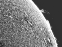 Sun/20220430_101912_AR12994+AR12995_JWH.png