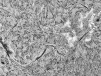 Sun/20220430_102239_AR12999+AR13001_JWH.png