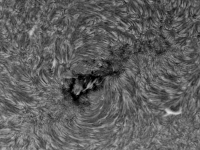 Sun/20220509_080519_AR13006_JWH.png