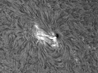Sun/20220602_073347_AR13026_JWH.png
