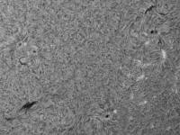 Sun/20220602_073757_AR13023+AR13024+AR13027_JWH.png