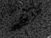 Sun/20220615_062404_AR13031_inv_JWH.png