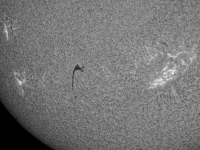 Sun/20220615_063243_AR13031+AR13034+AR13035_JWH.png