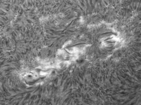 Sun/20220616_072334_AR13031+AR13037_JWH.png