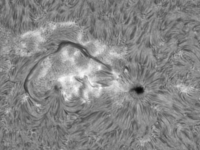 Sun/20220710_071430_AR13053_JWH.png