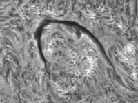 Sun/20220810_073440_horseshoe_filament_JWH.png