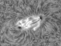 Sun/20220822_075507_AR13085_JWH.png