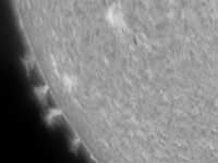 Sun/20240421_proms_SE_limb_JWH.jpg