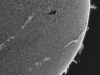 Sun/20240602_085246_AR13697+AR13699+AR13700+proms_JWH.jpg