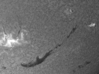 Sun/20240602_085246_AR13697+AR13699+AR13700_JWH.jpg
