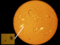 Sun/20260708_Sun_montage_SM.jpg