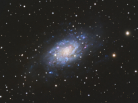 galaxies/20260327_NGC2403_SM.jpg
