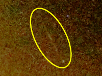 20200811_234024_Perseid_AJS_1604.jpg
