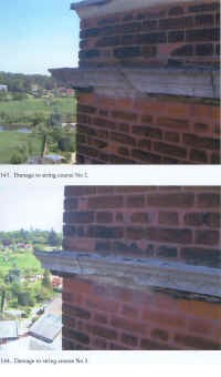 73.jpg