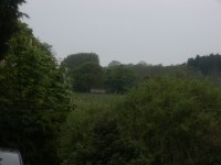 tree_distant.jpg