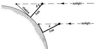 Fig4