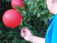 20140719_BBQ_MPC_2.jpg