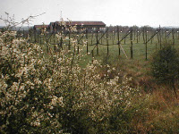 C04.jpg
