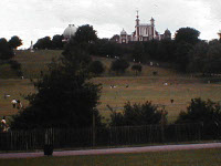 G05.jpg