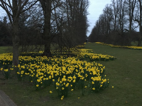 20160319_Nowton_1_MRH.png