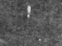 19830410_fireball_AJS.gif