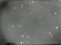 19851013_0210_1P_AJS.gif