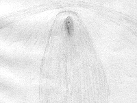 19851207_1P_DBP.gif