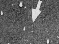 19860831_C1986P1_MJH.bmp